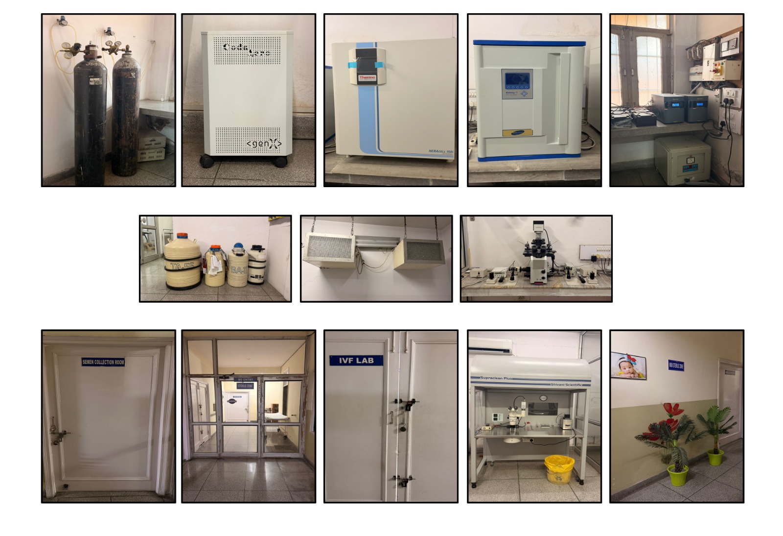 WhatsApp Image 2026-04-11 at 1.52.50 PM